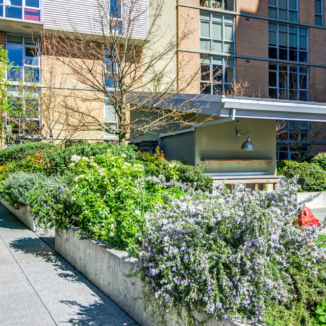 Asa Flats + Lofts - Community Garden