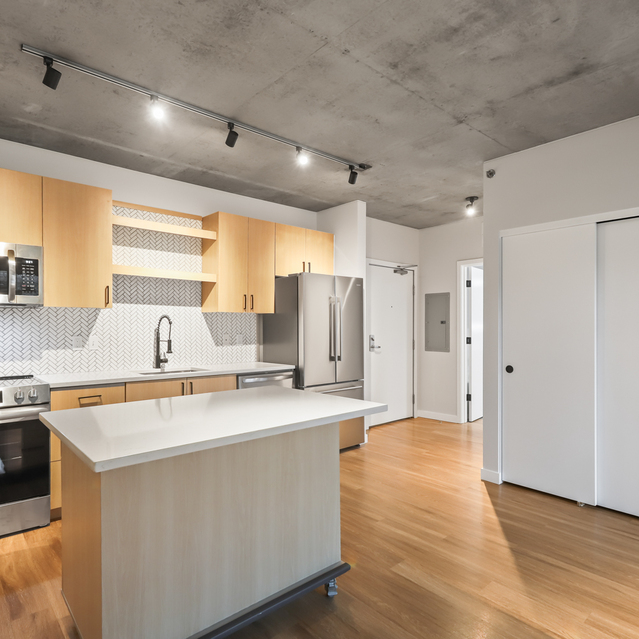 Asa Flats and Lofts - Newly Renovated Unit